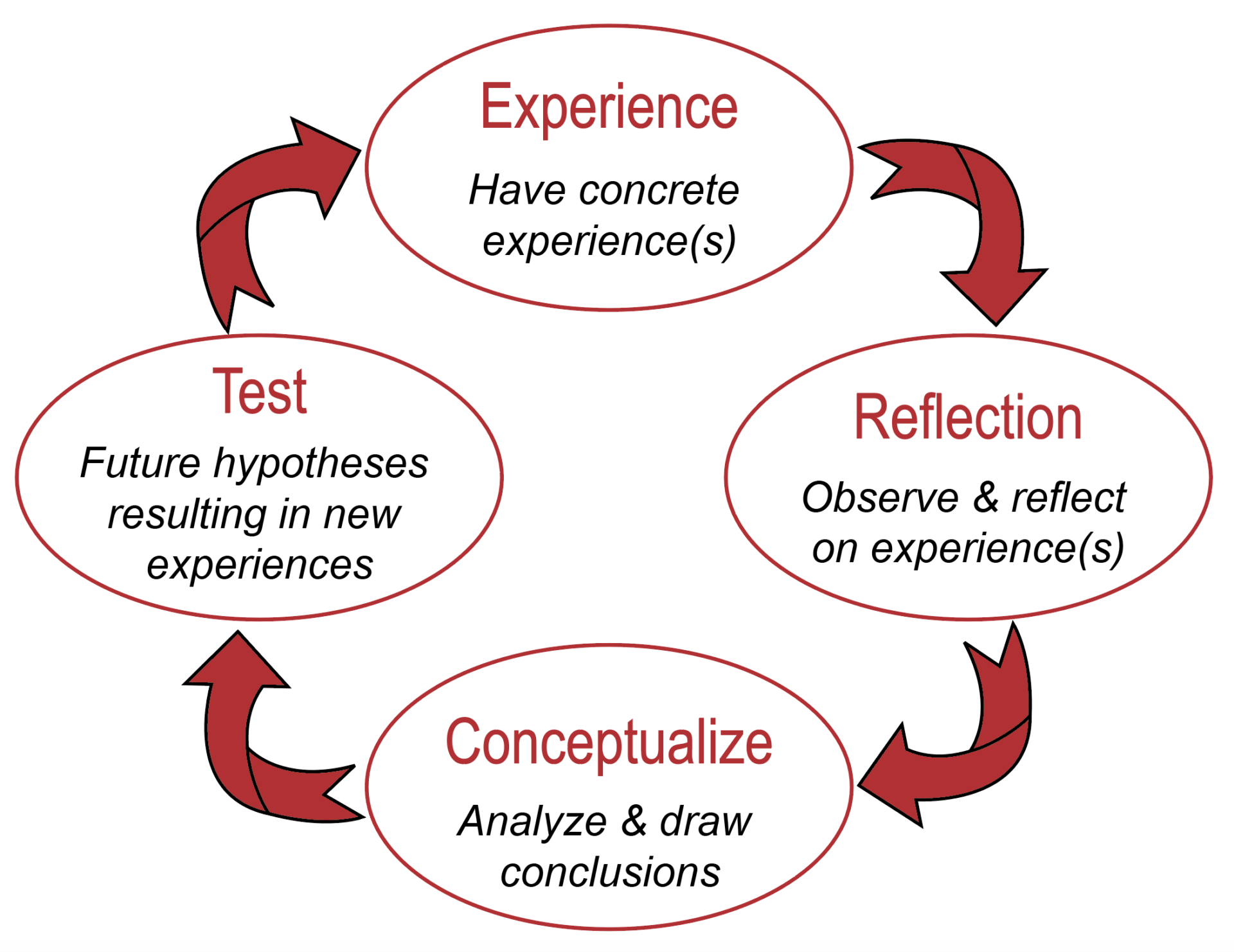 Experiential Learning Bringing Classroom Concepts to Life University